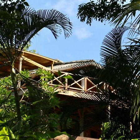 Eden Jungle Lodge Bocas del Toro Exteriör bild