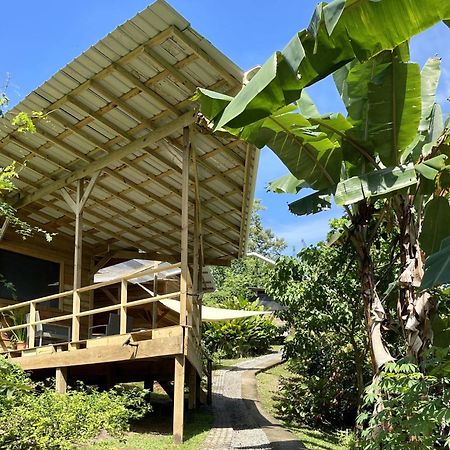Eden Jungle Lodge Bocas del Toro Exteriör bild