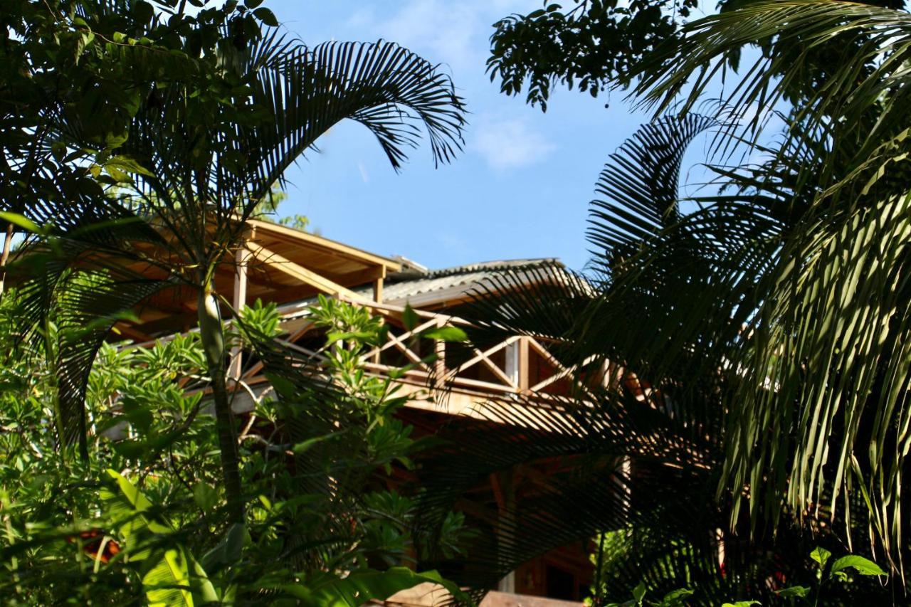 Eden Jungle Lodge Bocas del Toro Exteriör bild