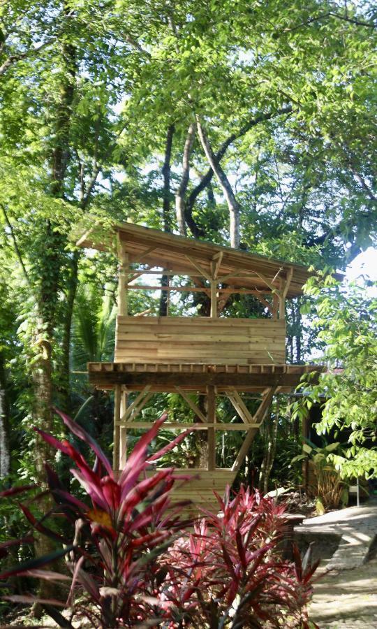 Eden Jungle Lodge Bocas del Toro Exteriör bild