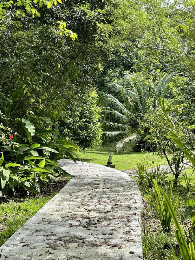 Eden Jungle Lodge Bocas del Toro Exteriör bild