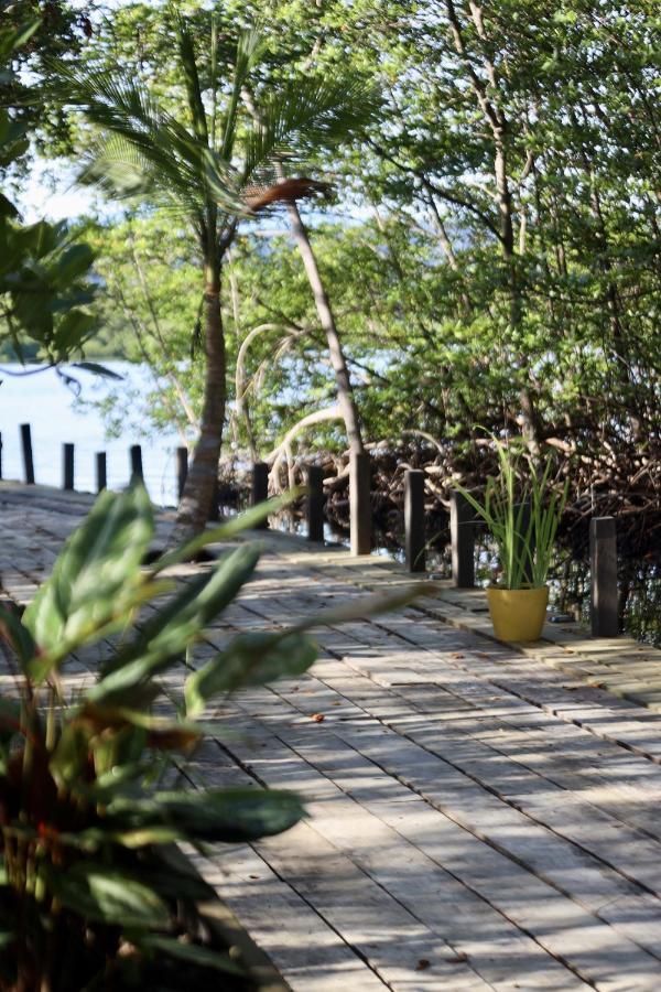 Eden Jungle Lodge Bocas del Toro Exteriör bild