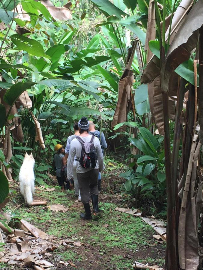 Eden Jungle Lodge Bocas del Toro Exteriör bild
