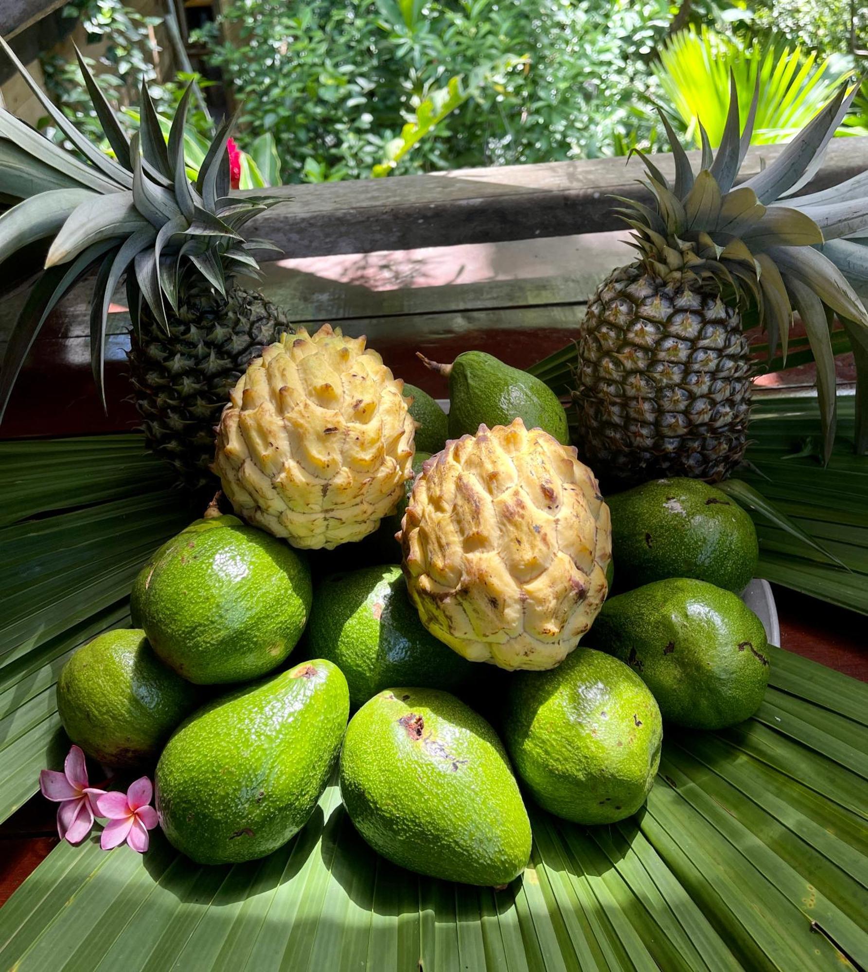 Eden Jungle Lodge Bocas del Toro Exteriör bild
