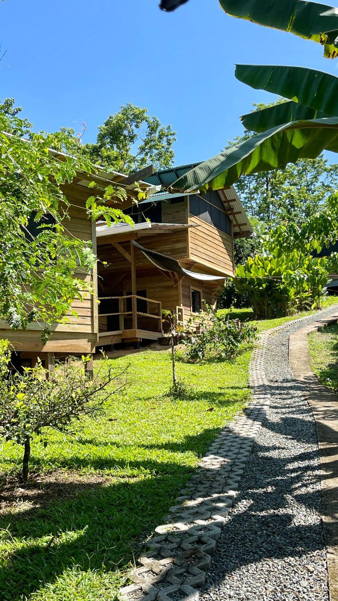Eden Jungle Lodge Bocas del Toro Exteriör bild