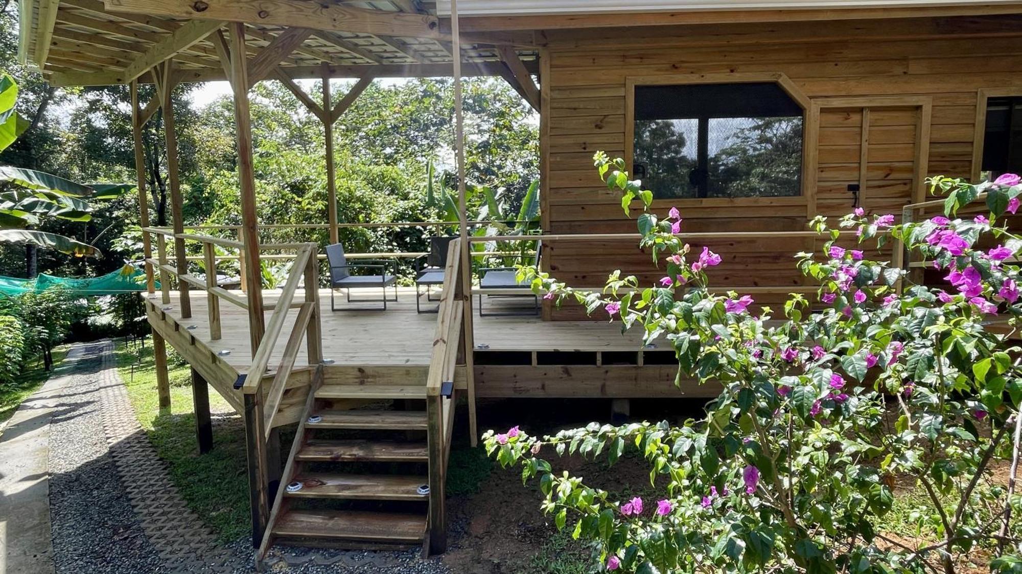 Eden Jungle Lodge Bocas del Toro Exteriör bild
